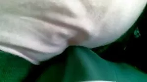 کا پیچھا بڑی بلی میں اس کے گھر