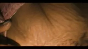 رومانیہ کی لڑکی پر Rocco Siffredi کے لنڈ