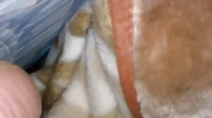 Kaori اور اس کے فیشن بھرے بچے کی خوراک