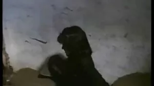 چاٹ اس کے شوہر کی نظر ہے اس کی خاص