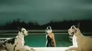 بڑی مقعد slut جھو پیر منرو پیش کرتا ہے.