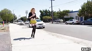 Petite 18